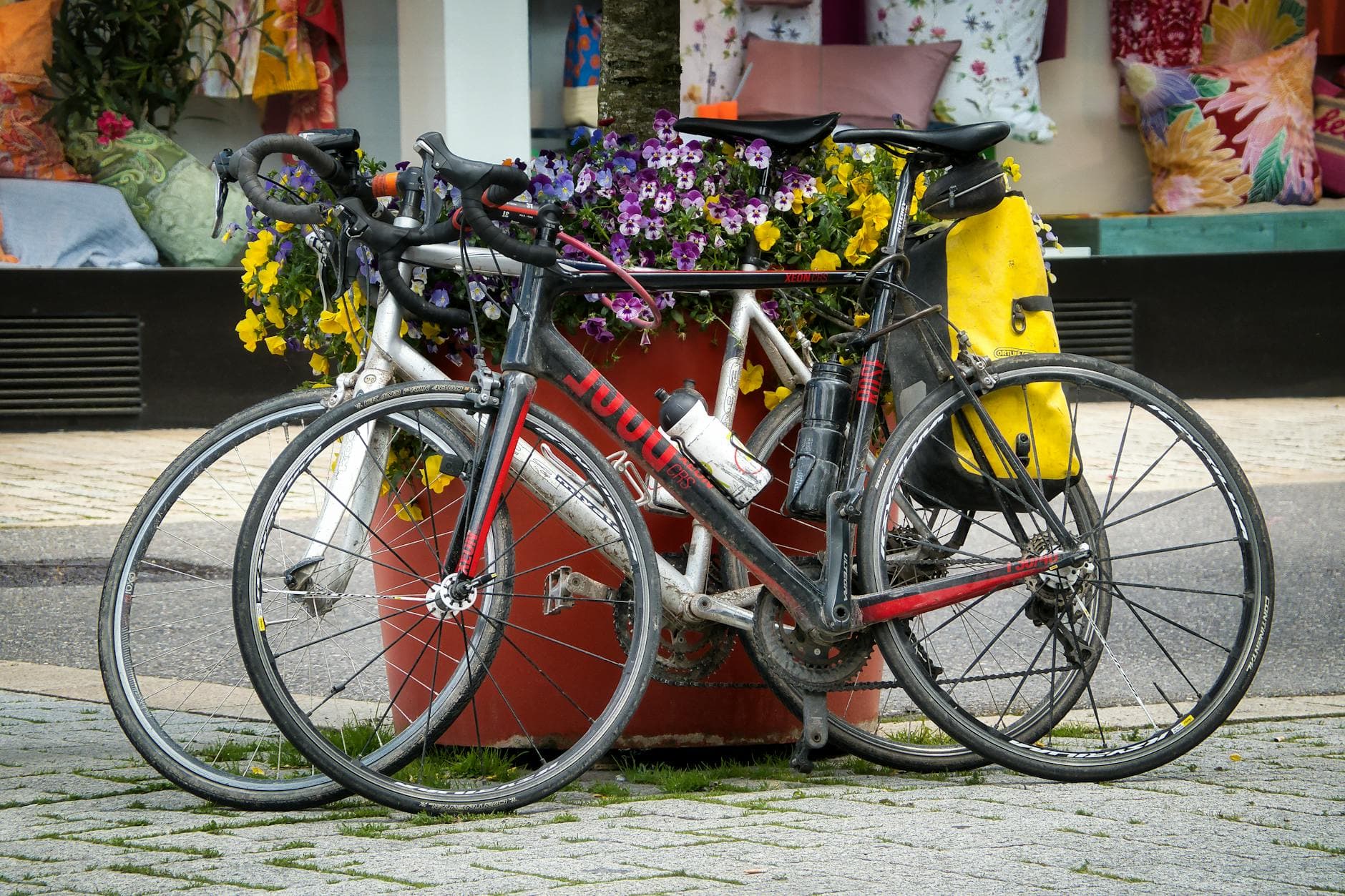 Road bikes on display