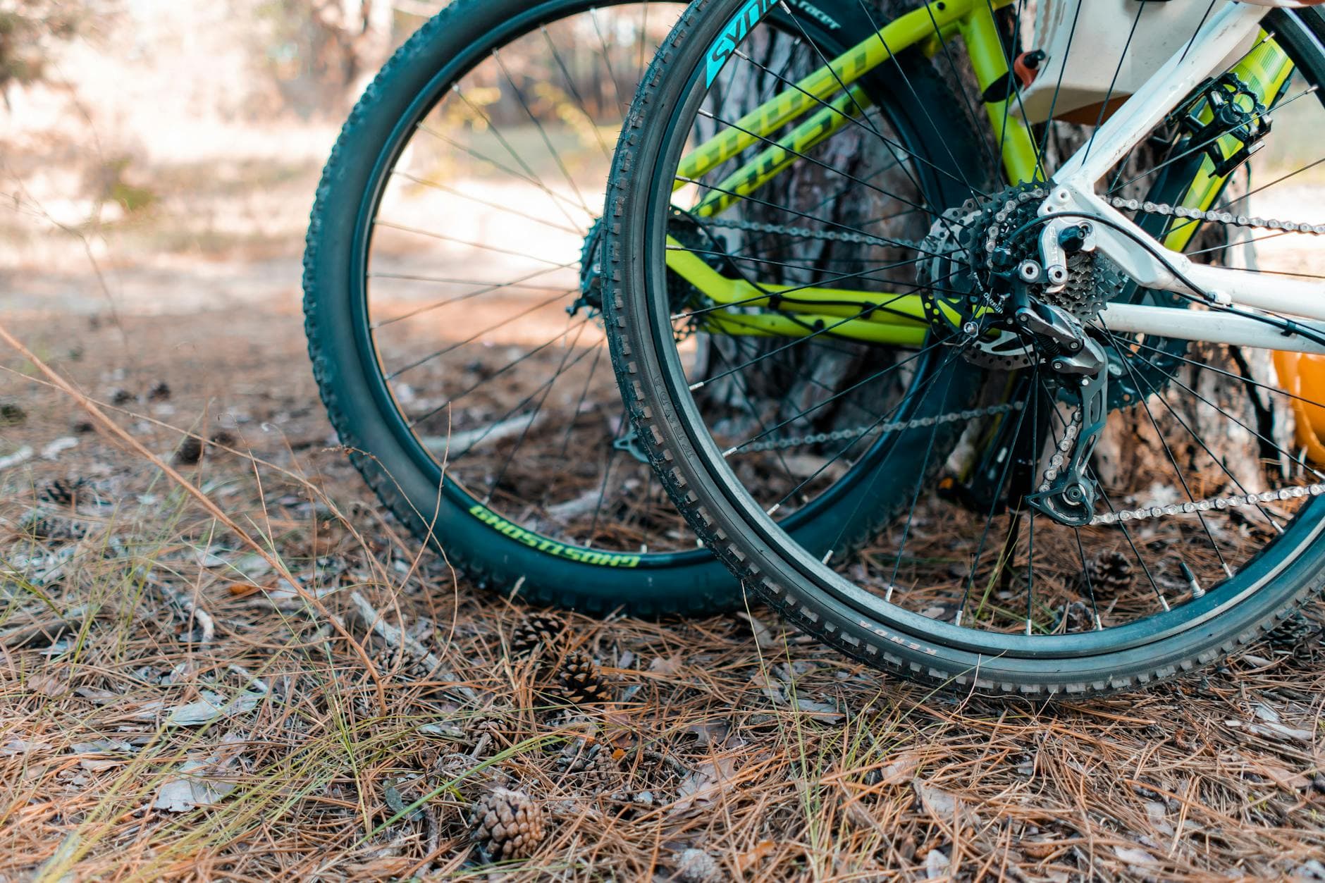 Bike wheels and tires