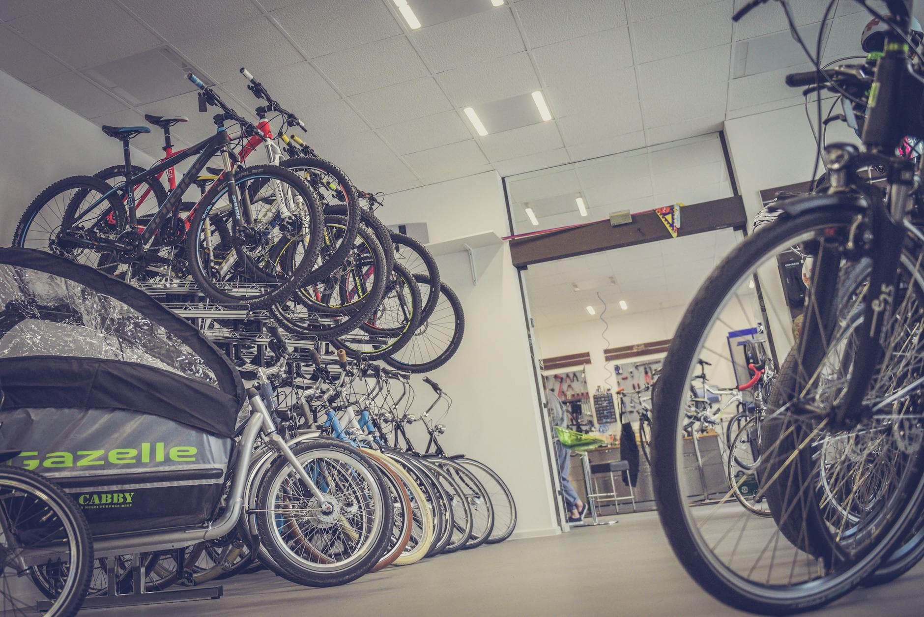 Bicycles lined up in a bike shop